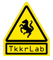 TkkrLab Revision Satellite – Revision 2025 satellite event